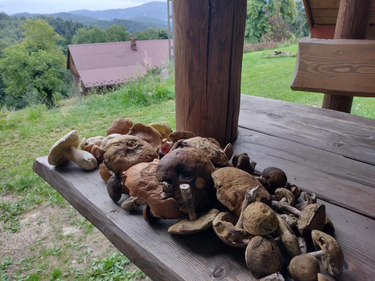 Willa Chata z bali -domek w górach ,,Filipkowy Raj"- Limanowa Nowy Sącz Beskidy Kraków Rozdziele Zewnętrze zdjęcie